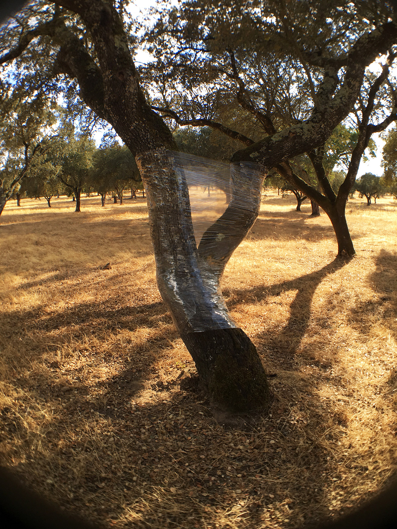 Land art