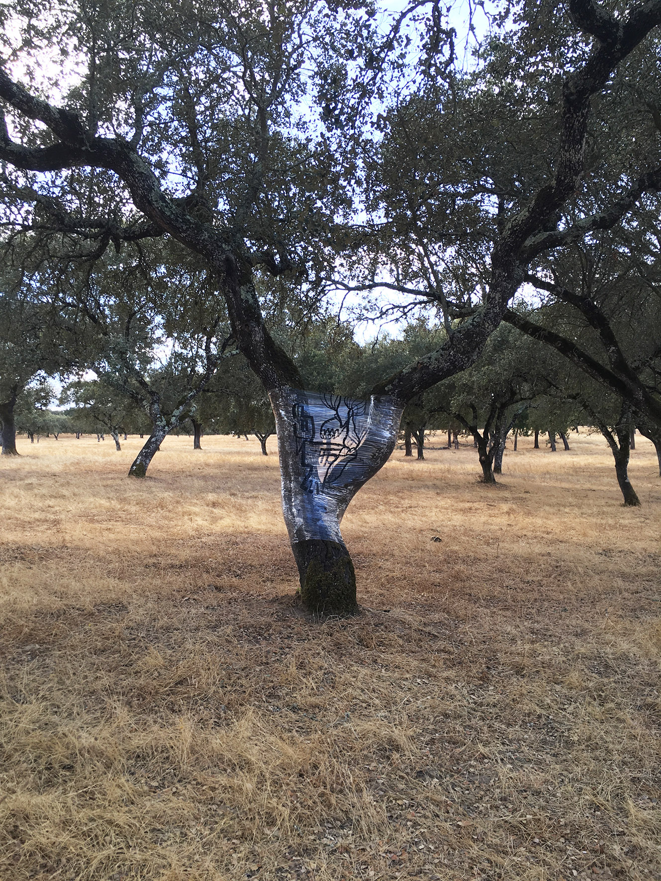 Land art france